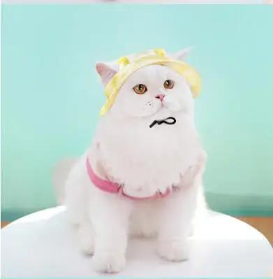 Boné de beisebol para animais de estimação Chapéu protetor solar ao ar livre para cães e gatos Chapéus de sol respiráveis verão - Image 1
