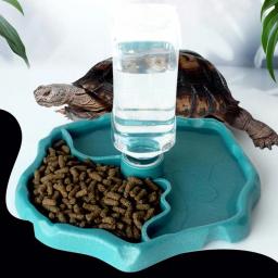 Suporte automático da água da fonte bebendo, plástico, BPA livra, lagarto, alimentador do réptil, dragão barbudo tartaruga - Image 2