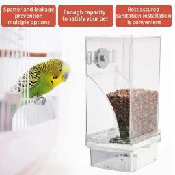 Alimentador de papagaio ajustável transparente Alimentador automático de pássaros Suprimentos anti-respingo para pássaros Acessórios externos para alimentos - Image 5