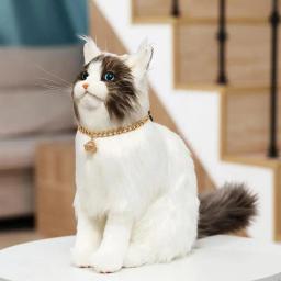 Colar de corrente de gato com sino design de moda colar de cachorro colar pet suprimentos de moda clássico jóias com hallow bell para pequeno a - Image 2