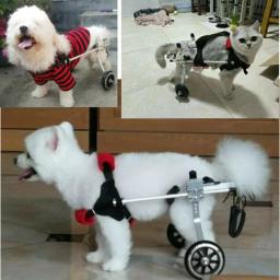 Carro auxiliar auxiliar de estimação, Cão de pequeno e médio porte, Paralisia da perna traseira, Carrinho de ajuda ambulante do cão - Image 5