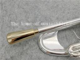 Banhado a prata trompete com caso, trompete profissional, B plana, instrumentos musicais, frete grátis, venda quente, LT180S-37 - Image 2