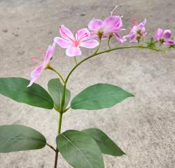 Arranjo de flores para casamento, seda artificial drapejar jasmim, único ramo, paisagismo interior, arranjo de flores, fotografia, 39.37 ", 80-100cm, 80-100cm, 1 pc - Image 2
