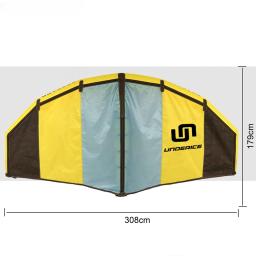Asa de vento inflável para surf aquático, Custom Kite, Esportes ao ar livre, Esqui na neve, Performance Win - Image 2