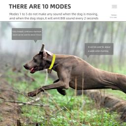 Coleiras de treinamento de cães de caça profissional beeper coleiras de treinamento de cão recarregável 8 built-in beeper som treinamento esportivo colar de caça - Image 2