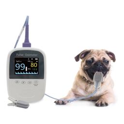 BM1000A-I BERRY Vet Medical Bluetooth Free App Oxímetro de pulso Veterinário Equipamento médico para animais de estimação preciso e barato - Image 1
