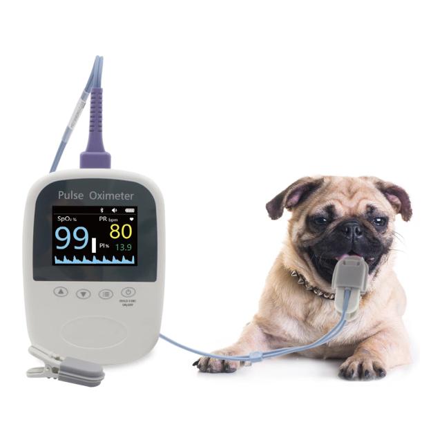 BM1000A-I BERRY Vet Medical Bluetooth Free App Oxímetro de pulso Veterinário Equipamento médico para animais de estimação preciso e barato