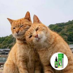 Líquido Calmante para Cães, Controle Emocional, Spray de Treinamento, Corrector Comportamento Pet, Seguro e Sedativo, 50ml - Image 4
