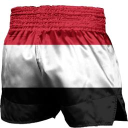 Calções De Treinamento De Artes Marciais, Trunks De Boxe, Muay Thai Kick, MMA Roupas, Bandeira Egípcia - Image 2