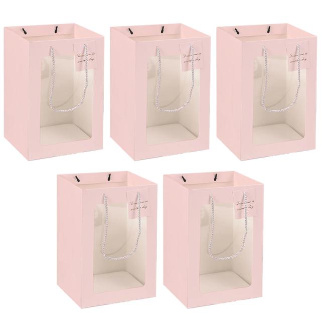 Conjunto de 5 Sacos de Presente Kraft com Janela Clara e Alças para Embalagens Elegantes