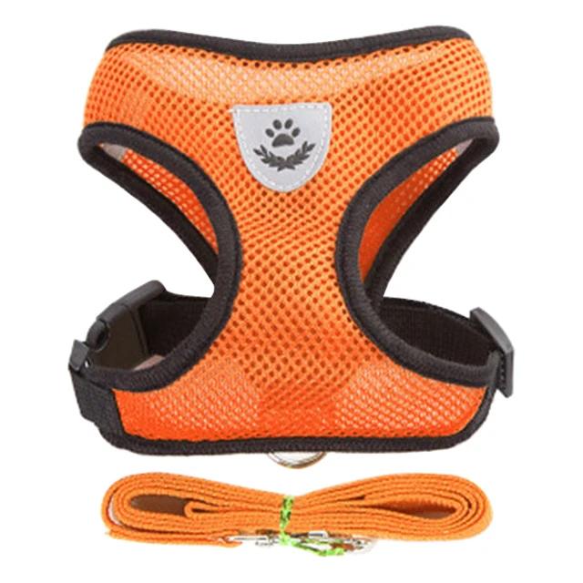 Cat Harness Ajustável Vest Walking Traction Rope Set para Dog Collar Respirável Malha Harness para Small Medium Cat Dog Pet Chumbo - Image 1