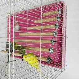 Stand Rack para papagaio, vara de madeira crua, suporte pendurado, brinquedo Sticksstand, ramo de periquito Poleiros, Bird Cage Bar, Pet Supplies - Image 3