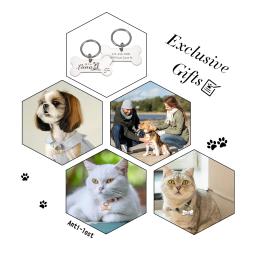 Cor personalizada osso pingente para coleira de cão, pingente para cão, medalha com gravura nome, número personalizado, gatinho, cachorro acessórios - Image 2
