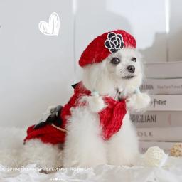 Roupas para cães de inverno artesanal suprimentos para animais de estimação moda parkas vestido jaqueta de malha superior e tweed colete grande lantejoulas arco acessórios boina - Image 5