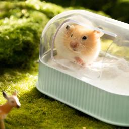 Recipiente De Banho De Areia para Pequenos Animais De Estimação, Caixa Do Banheiro, Cobaia Toalete, Mouse, Gaiola Gerbille, Brinquedo Da Casa, Acessórios De Hamster, Suprimentos - Image 4