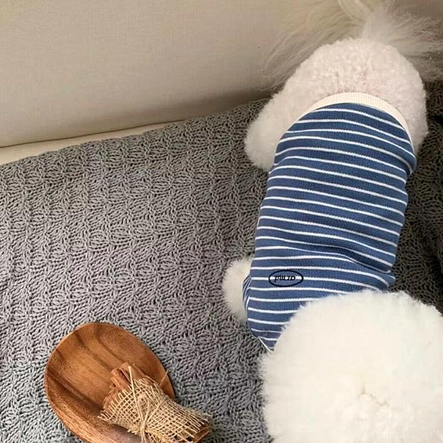 Colete de Pelúcia Verde Listrado para Cães: Conforto e Estilo para o Verão