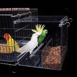 Alimentador Automático De Papagaio Acrílico, Sem Bagunça Gaiola De Pássaro, Recipiente De Alimentação De Sementes - Image 1