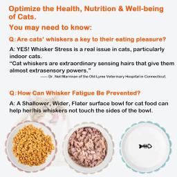 Antibacteriano e fadiga Cerâmica Flat Bowl, Pratos largos para gatos interiores, Alimentação Alimentar, Molhado, Pequeno, Novo - Image 2