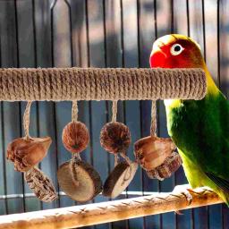 Madeira Stand poleiro brinquedo para papagaio, Bird Cage poleiro, Paw Grinding Stick - Image 6