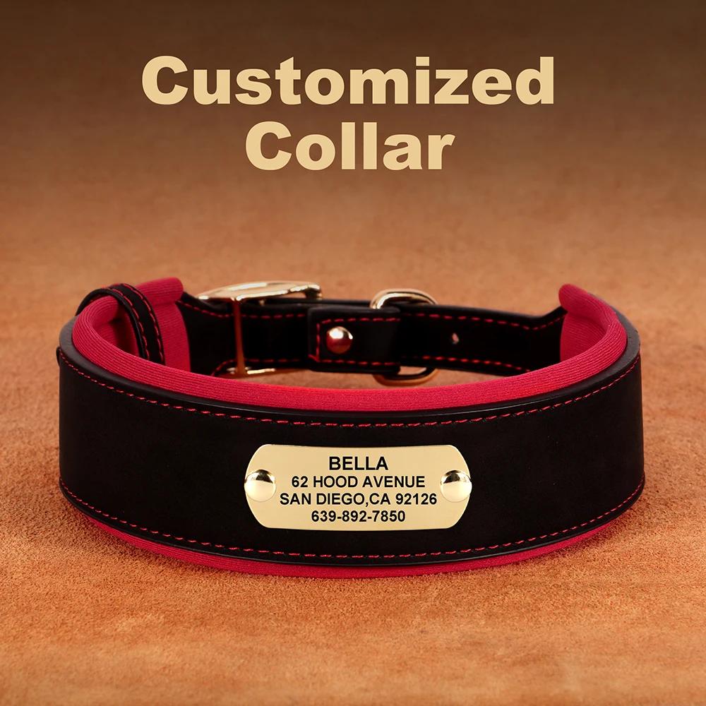 Colar de cachorro gravado personalizado, couro largo, coleiras acolchoadas macias grandes, gravação livre, cães médios e grandes - Image 1
