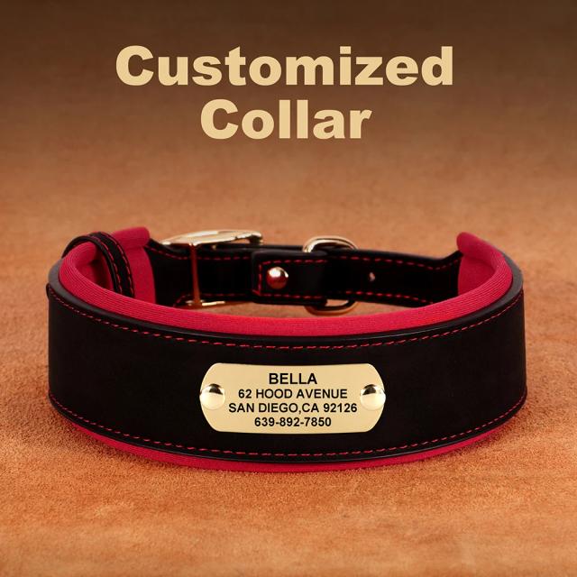 Colar Personalizado para Cães Médios e Grandes em Couro Largado com Coleira Acolchoada e Gravação Gratuita