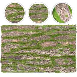 Terrário de cortiça fundo animais réptil árvore casca decoração para répteis tubo de esgoto - Image 6