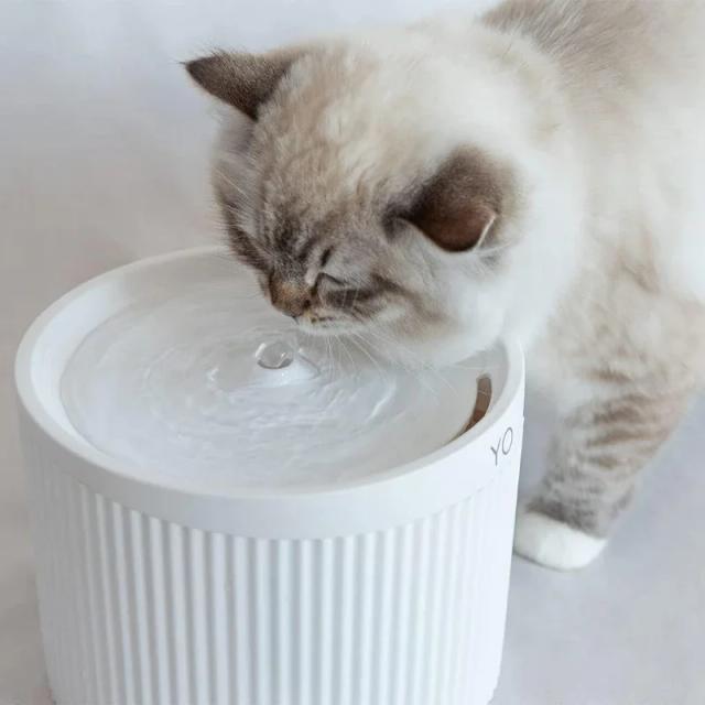 Bebedores Automáticos para Pets com Filtro de Carvão Ativado e Alimentadores Bivolt - Acessórios Essenciais para Gatos e Cães