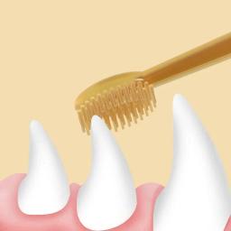 Dentes branqueamento cão e gato Silicone Soft Toothbrush, Oral Care, Puppy Toothbrush, Pet Kit, limpeza dos dentes, Pet fornecimentos - Image 5