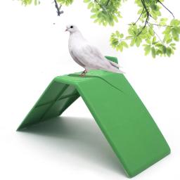 Stand Rest for Pombo Bird, Equipamento para Pássaro, Suporte para Pássaro e Pássaro, Poleiros para Pomba, Equipamento para Pássaro, 20 PCs - Image 6