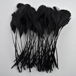 20 pçs/lote colorido ganso pena decoração preto gansos penas de ganso diy jóias festa artesanato acessórios decoração para roupas - Image 3