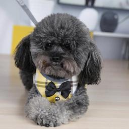 Arnês De Animais De Estimação Bonito Fivela de Liberação Rápida Pet Colete Arnês Pequeno Cão Malha Xadrez Vestido de Noite Colete Arnês Pet Supplies - Image 5