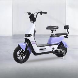 Bicicleta elétrica de íon de lítio para adultos, bicicleta leve de liga de magnésio para homens e mulheres, bicicleta assistida por energia - Image 2