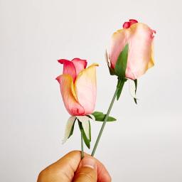 Flores Artificiais Pólo Ferro Fio De Seda Rosas Folha, DIY Grinalda Presentes, Artesanato Scrapbooking, Plantas Falsas, Decoração De Casa Do Casamento, 50Pcs - Image 4