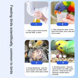 Pombo Pássaro Reprodução Vitamina Diária Moulting Vitamin, Melhorar Suplemento Fertilização, Multivitaminas, Nutrição Condicionado - Image 3