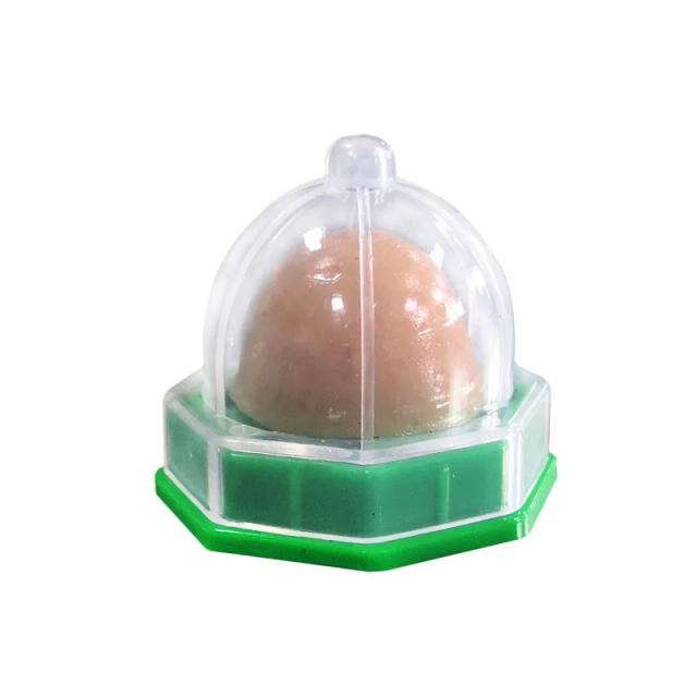 Doces Energéticos Le Pet Treats para Gatos e Cães com Açúcar Sólido - T50 Vendas Diretas