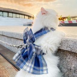 Vestido JK xadrez com trela para cães pequenos, gatos, roupas de gatinho, vestidos de cachorro e gato, roupas de verão, moda - Image 1