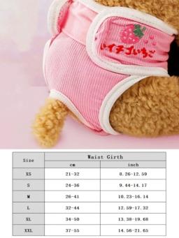Fraldas para cães laváveis, calça fisiológica pet, shorts femininos de cachorro, roupas íntimas femininas, calcinhas de cachorro, roupas de gato, 2024 - Image 6