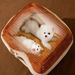 Casa dobrável com almofada, cama impermeável, suprimentos de tenda para cães pequenos e gatos, caverna do filhote de cachorro, ninho ao ar livre - Image 3