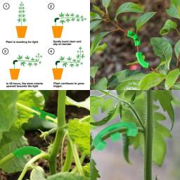 Plant Stem Training Clips, Plant Support Ties, Baixo Stress, Bud Bender, Ramos Trainer, Braçadeiras treliça, 80 pcs - Image 5