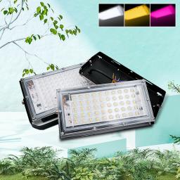 Full Spectrum LED Grow Light, Phyto Lâmpada para Plantas, 50W, 100W, AC 220V, LED Grow Lamp, Iluminação de Crescimento - Image 5