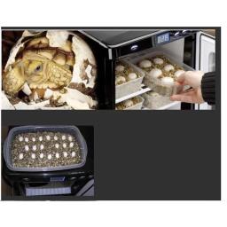 Digital laboratório réptil incubadora, refrigeração e aquecimento, 5-60C, adequado para répteis, 25L - Image 2