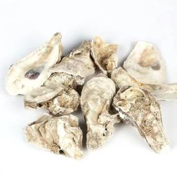 Mídia de filtro de aquário 200g 500g, filtro biológico natural de casca de ostra para tanque de peixes, acessórios de aquário, ajuste do valor de ph 5-10cm - Image 4