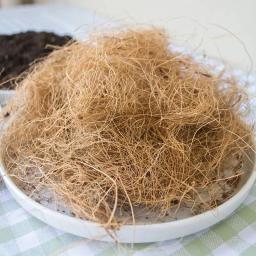 200g natural casca de coco fibra flowerpot capa artesanato à prova de insetos proteger flor planta solo manter quente réptil cama ninho de pássaro - Image 6
