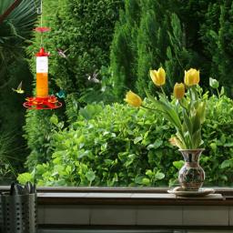 Alimentador de pássaros pendurado beija-flor alimentador de pássaros anti-antes à prova de vazamento fácil de limpar decoração de jardim ao ar livre - Image 2