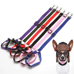 Pet nylon trela suprimentos, trela do cão, corda de tração gancho duplo, cinto de corrida, cintura ajustável imitação, gancho de aço inoxidável - Image 6