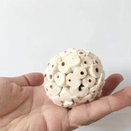 6 peças bolas de sola natural para papagaios de coelho chinchilas hamster porquinho da guiné mastigação macia forraging pássaro brinquedo pequeno animal estimação suprimentos - Image 2
