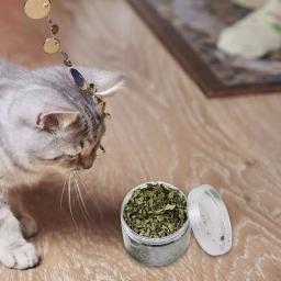 Natural Catnip Orgânico Premium Catmint para Gatos, Brinquedo para Gato, Cataria para Eliminar Bolas de Cabelo, Alimentos Absorventes, Suplemento Vitamínico - Image 3