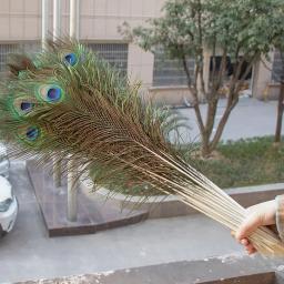 Penas de pavão natural para joalheria, plumas longas, acessórios de festa artesanais, decoração por atacado, 25 30 40 50 60 65cm - Image 1