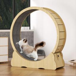 Roda de corrida Pet Treadmill, Brinquedos Silenciosos Do Cão, Produtos Interativos Do Gato, Perder Peso, Caminhada Silenciosa, Fitness, Diâmetro 120cm - Image 4