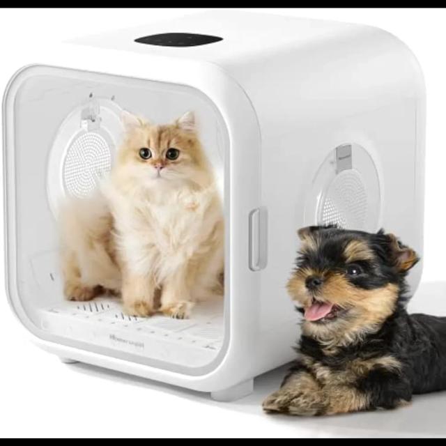 Secador Automático Ultra Silencioso para Pets Drybo - Controle de Temperatura Inteligente e Secagem 360 para Gatos e Cães Pequenos